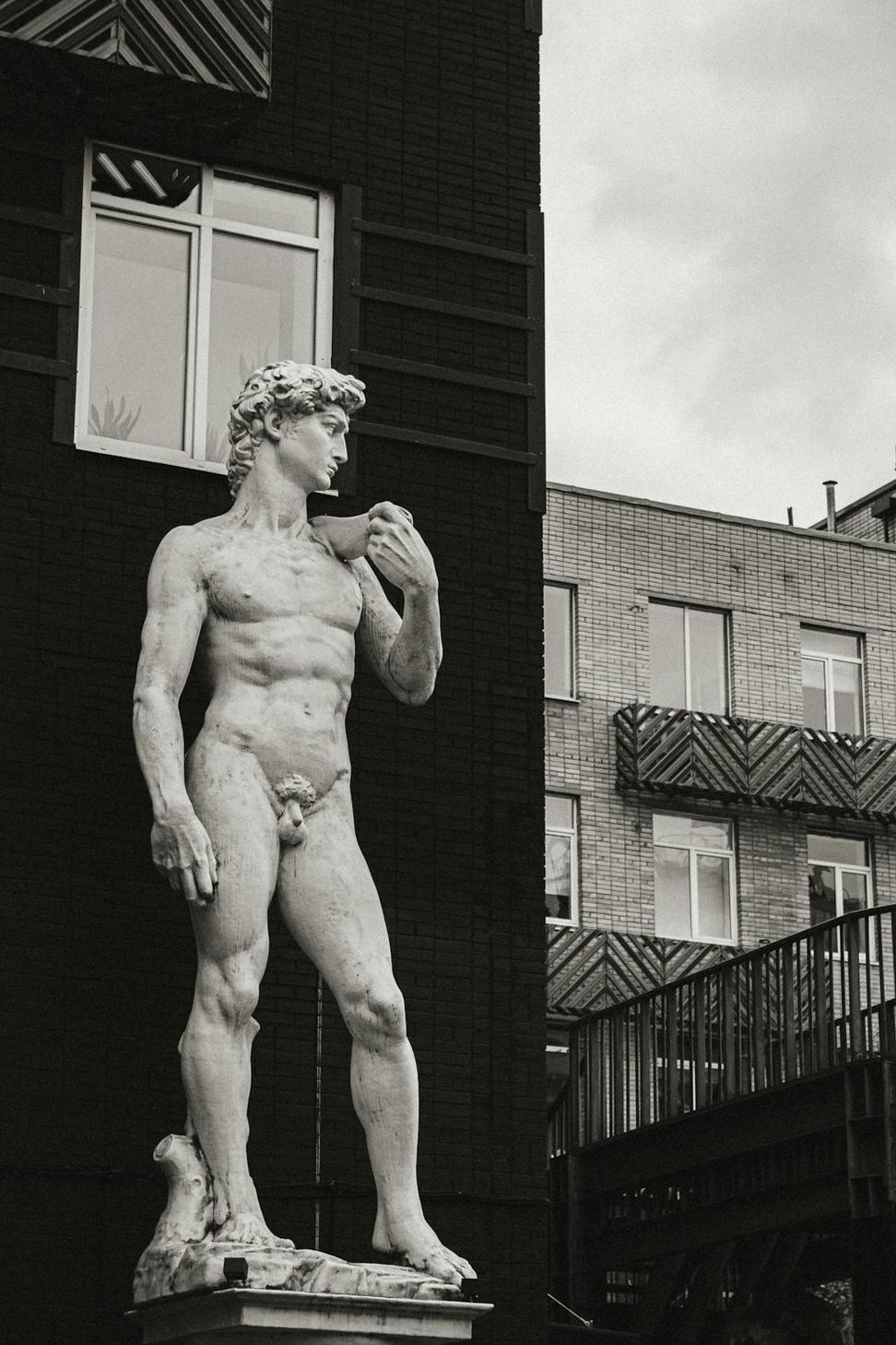 David MacLeod